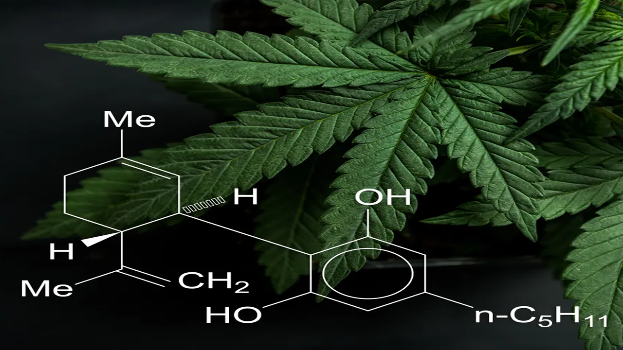 Clearing the Smoke- The Science of Cannabis