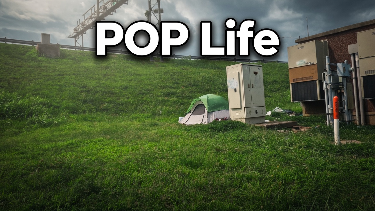 Pop Life