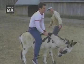 Jackass - S02E02 Jai Alai