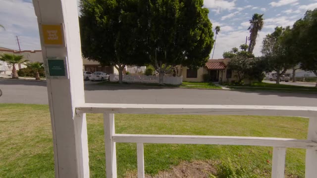 Reno 911- Coyote Hazing